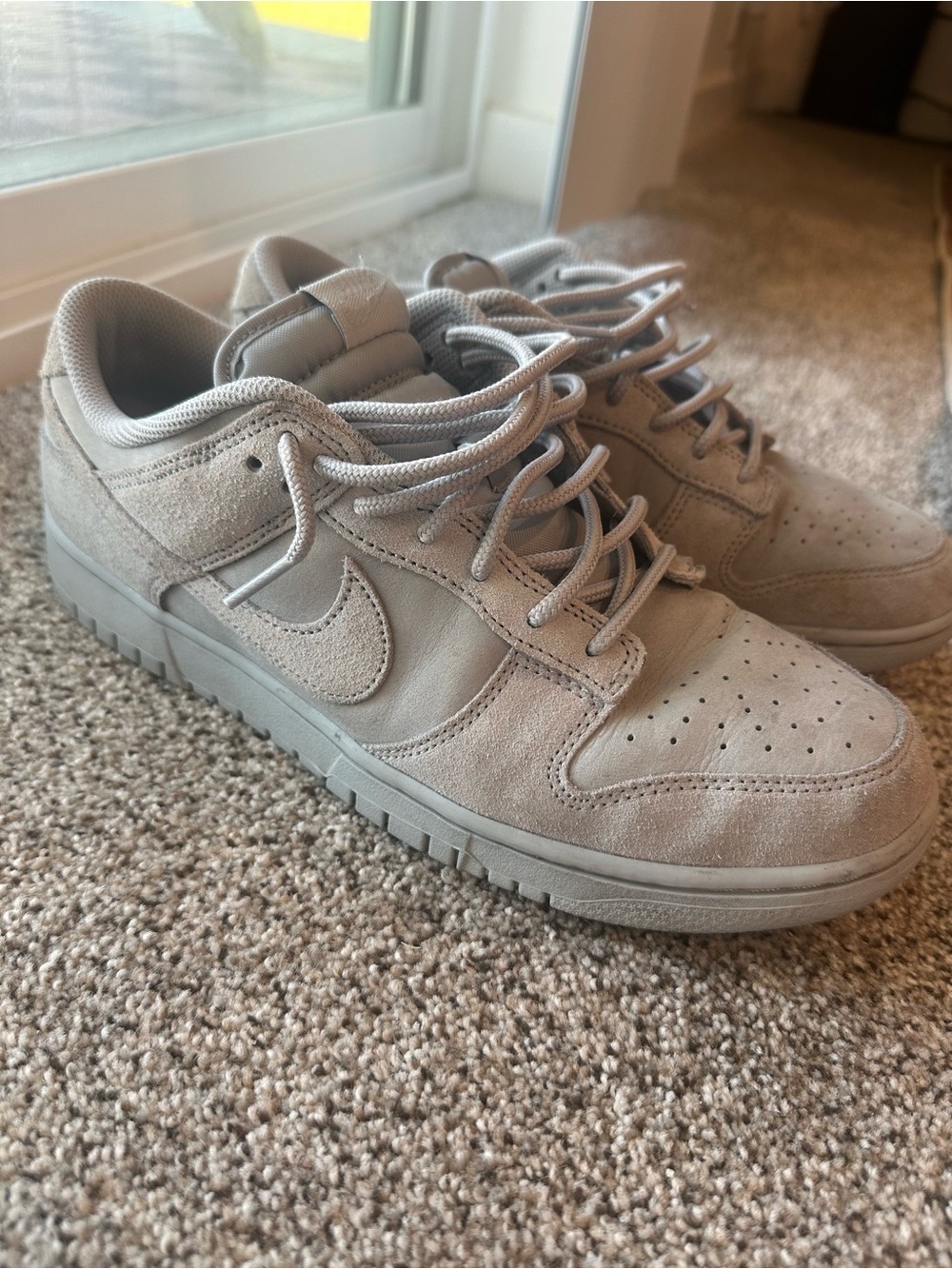 Nike Men’s Dunks Low Top